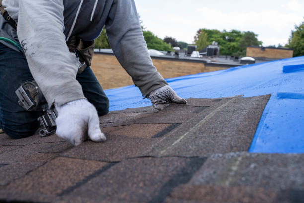 Roof Gutter Cleaning in Walker, LA